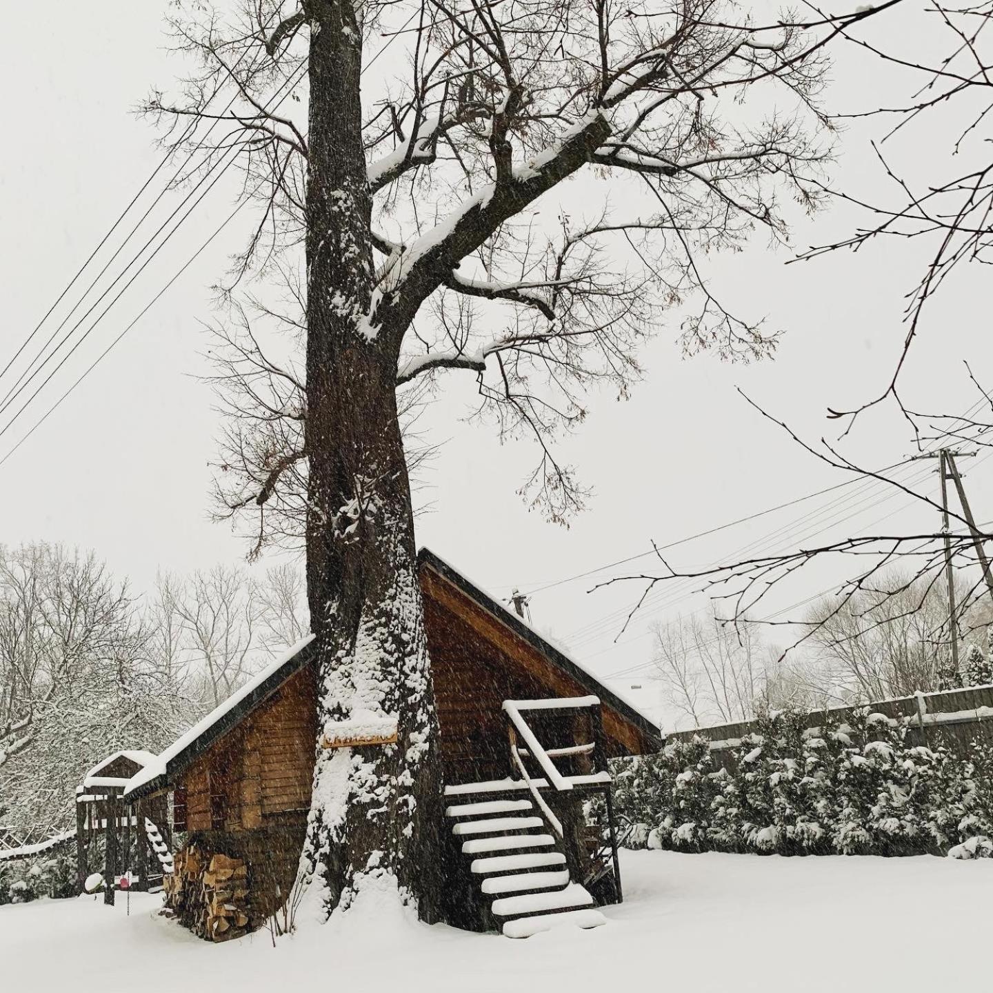 Ferienwohnung Gniazdko Pod Lipa Andrychów Exterior foto