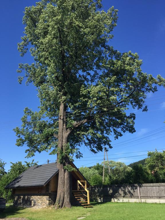 Ferienwohnung Gniazdko Pod Lipa Andrychów Exterior foto